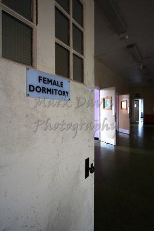 female wing-c16.jpg